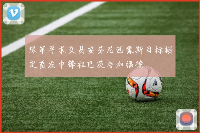 绿军寻求交易安芬尼西蒙斯目标锁定首发中锋祖巴茨与加福德